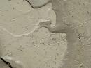 World's Oldest Footprints